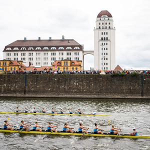 Rudern während der Finals 2025 Dresden im Alberthafen